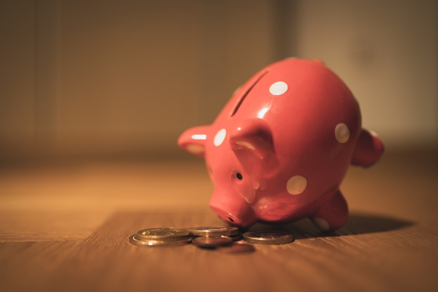 Finding Joy in the Chaos of Budget Living