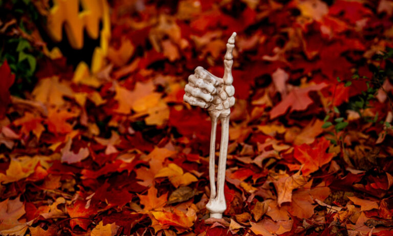 10 Fascinating Facts About Halloween, Artificial Intelligence, and Money