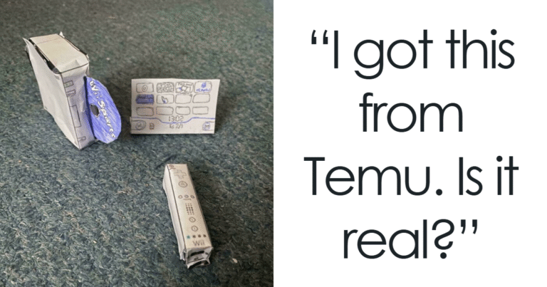 50 Funny Online Shopping Disappointments: What I Expected vs. What I Received (Latest Pictures)