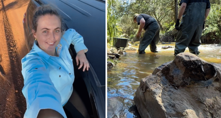 A side job in the Australian bush now earning over $20 an hour: It’s accessible to everyone.