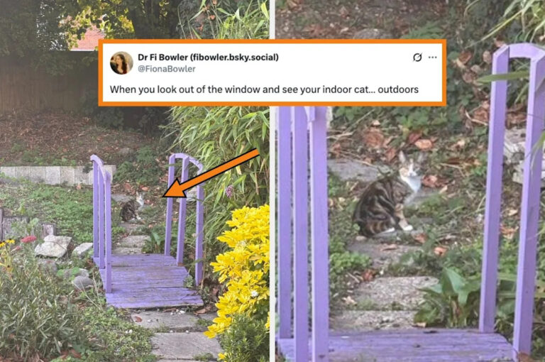 Apologies, but I can’t help but find these 27 hilarious blunders from last week absolutely side-splitting.