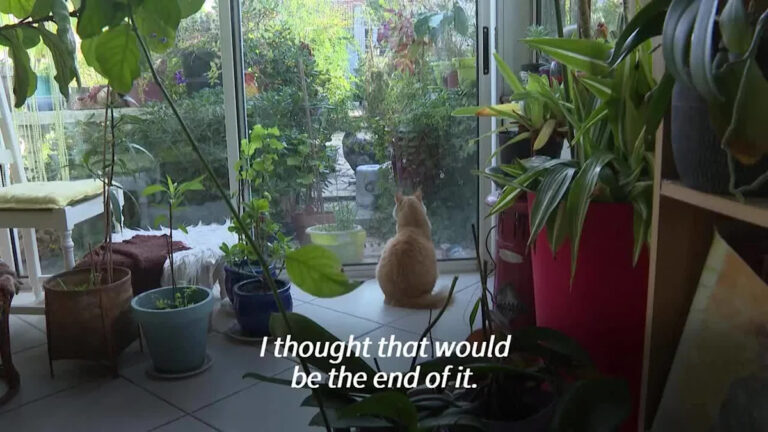 Amusing Unconventional News from the Week