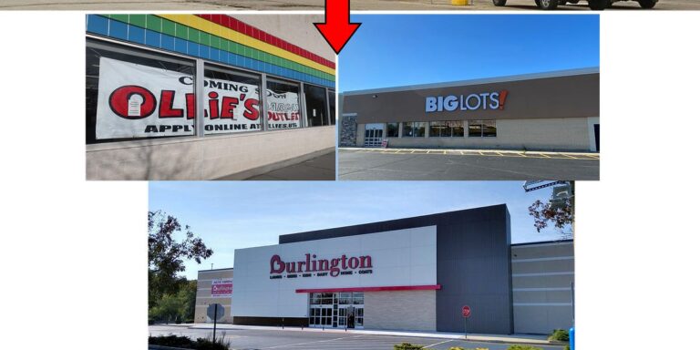 More than 90% of Toys R Us Locations Have Found New Purposes Six Years After Bankruptcy