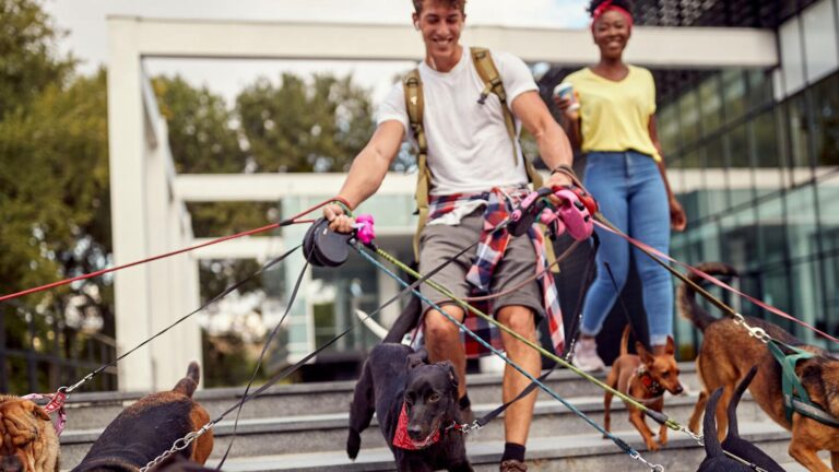 Utah Residents Embrace National Trend of Side Gigs for Extra Income – St. George News