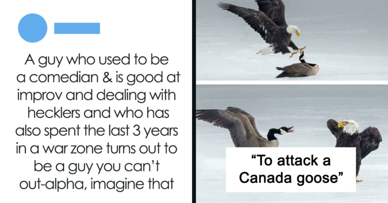 35 Comically Epic Failures (New Photos)