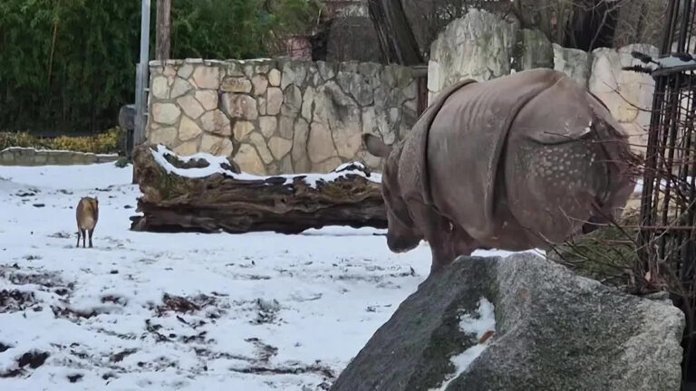 Humorous happenings: a round-up of the week’s quirky news