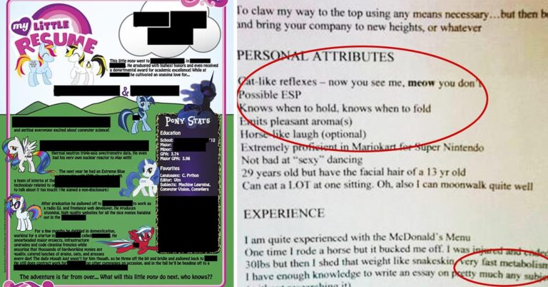 20 Funny Resumes That May Have Missed the Job but Delivered Laughter