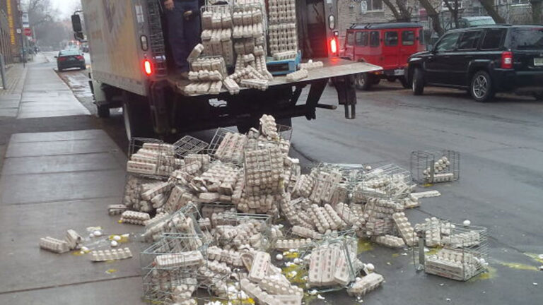 50 Humorous Single-Image Tales for Those Who Want a Quick Laugh