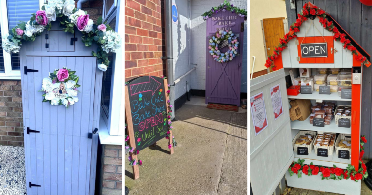 Exploring the Growth of Cake Sheds