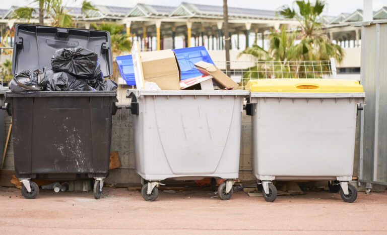 Teen Siblings Transform a $4,000 Truck into a $3 Million Annual Venture